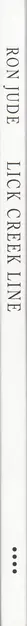 Book spine: Ron Jude - Lick Creek Line