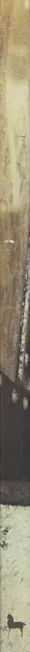Book spine: Mike Brodie - A Period of Juvenile Prosperity