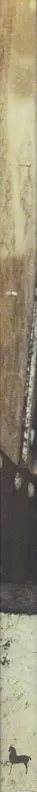 Book spine: Mike Brodie - A Period of Juvenile Prosperity