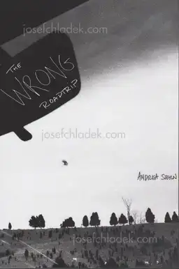 Cover of Andrea Stern - The Wrong Roadtrip