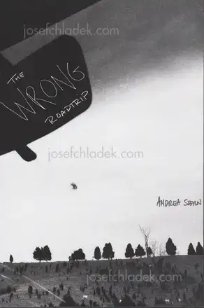 Cover of Andrea Stern - The Wrong Roadtrip