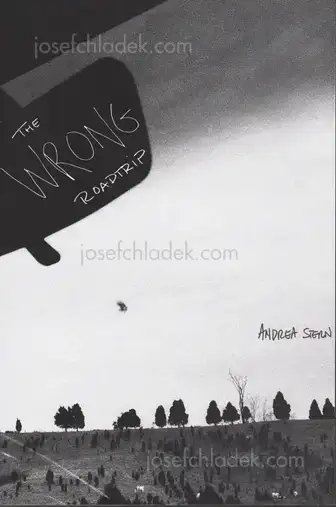 Cover of Andrea Stern - The Wrong Roadtrip
