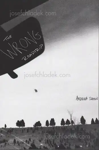 Cover of Andrea Stern - The Wrong Roadtrip