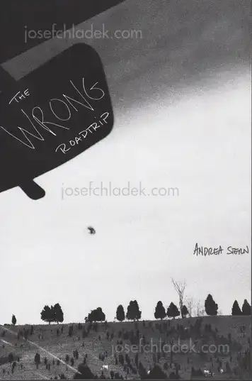 Cover of Andrea Stern - The Wrong Roadtrip