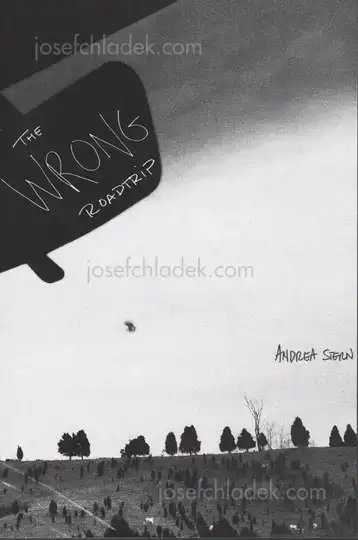 Cover of Andrea Stern - The Wrong Roadtrip