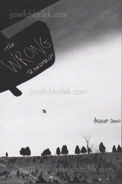 Cover of Andrea Stern - The Wrong Roadtrip