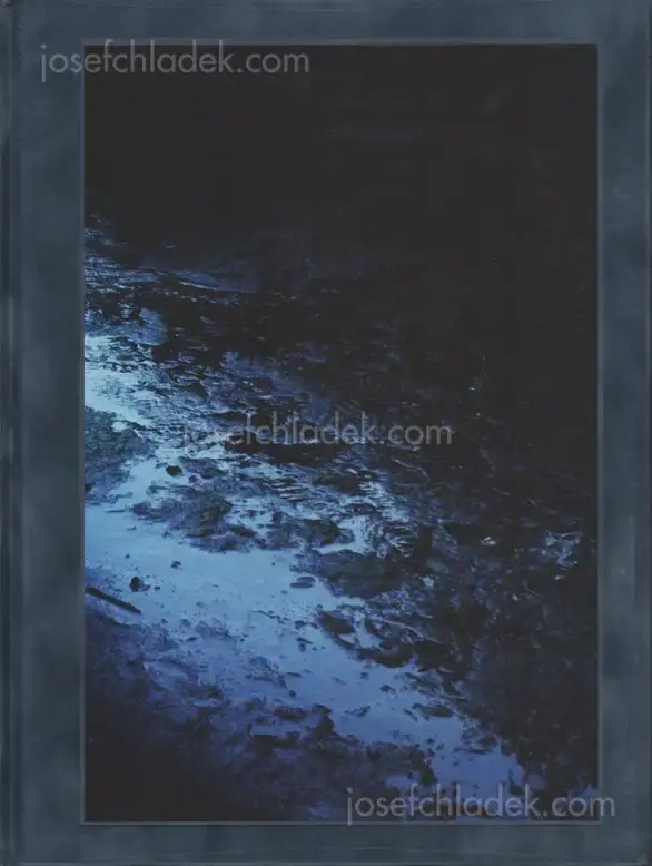 Cover of Filipe Casaca - Blue Mud Swamp