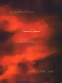 Paul Graham - A shimmer of possibility