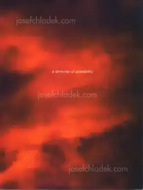 Cover of Paul Graham - A shimmer of possibility