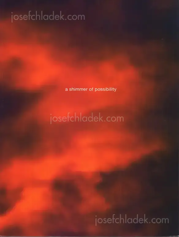 Cover of Paul Graham - A shimmer of possibility