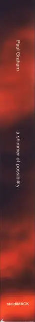 Paul Graham - A shimmer of possibility