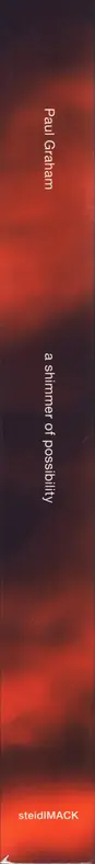 Paul Graham - A shimmer of possibility