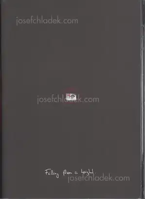 Cover of Martijn Berk - Falling from a Height