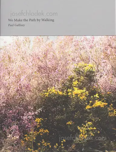 Paul Gaffney - We Make the Path by Walking Paul Gaffney - We Make the Path by Walking