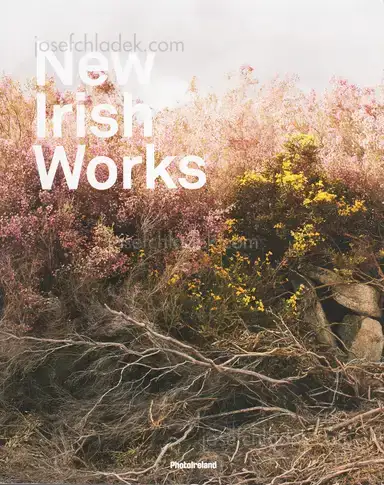 Ángel Luis González Fernández (Ed.) - New Irish Works Ángel Luis González Fernández (Ed.) - New Irish Works