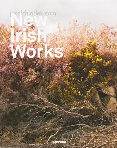 Cover of Ángel Luis González Fernández (Ed.) - New Irish Works