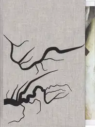 Cover of Carolyn Drake - Two Rivers