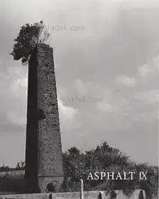 Asphalt IX - Atsushi Fujiwara, Yasuyuki Aizawa, Eiji Sakurai, Hirotoshi Nishioka