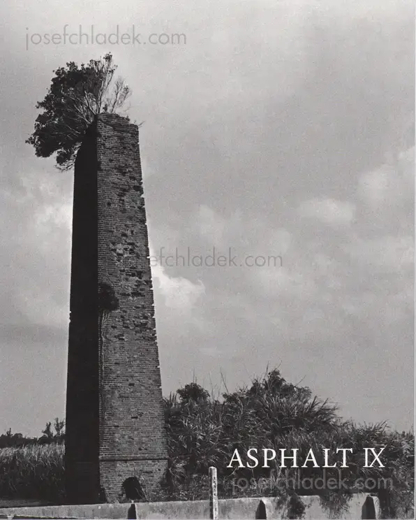 Cover of Asphalt IX - Atsushi Fujiwara, Yasuyuki Aizawa, Eiji Sakurai, Hirotoshi Nishioka