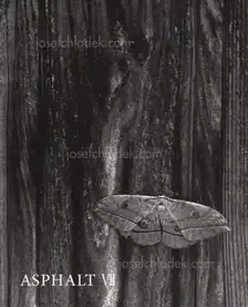 Asphalt VII - Atsushi Fujiwara, Shin-ichiro Tojimbara, Nobuko Kobayashi, Takehiko Nakafuji