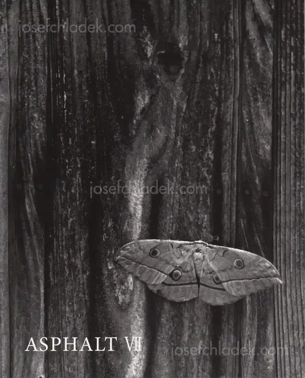 Cover of Asphalt VII - Atsushi Fujiwara, Shin-ichiro Tojimbara, Nobuko Kobayashi, Takehiko Nakafuji