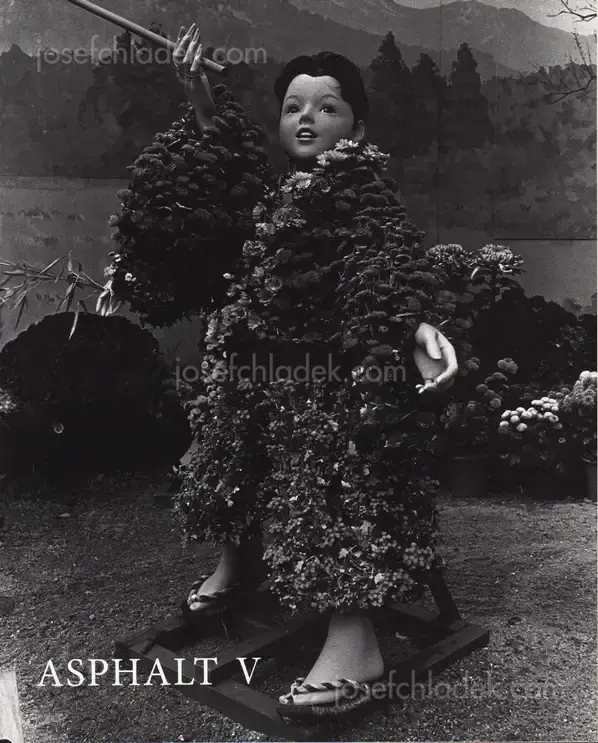 Cover of Asphalt V - Atsushi Fujiwara, Muge, Shin-ichiro Tojimbara, Yoshiaki Tokumoto