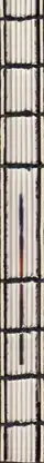 Book spine: Alexander Aksakov - 365    