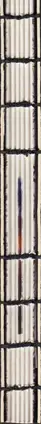 Book spine: Alexander Aksakov - 365    