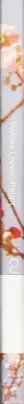 Book spine: Verena Loewenhaupt - CU — Tokyo