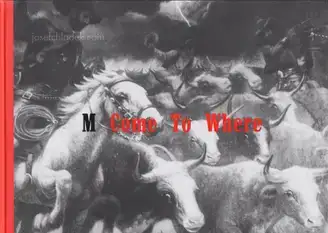 Max Regenberg - M - "Come To Where..."