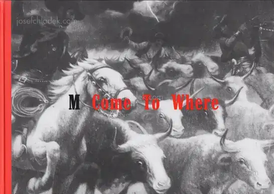 Cover of Max Regenberg - M - "Come To Where..."