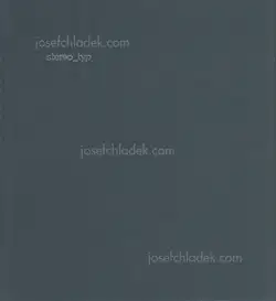 Misha Pedan - stereo_typ