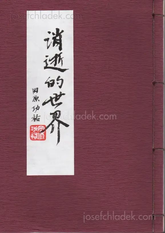 Cover of Kosuke Okahara - Vanishing Existence