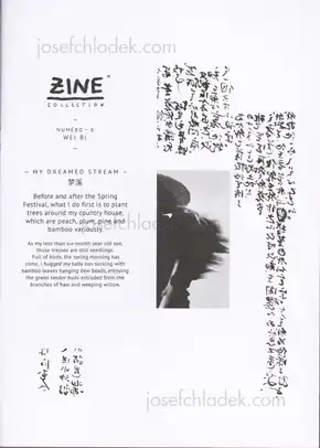 Cover of Wei Bi - My Dreamed Stream