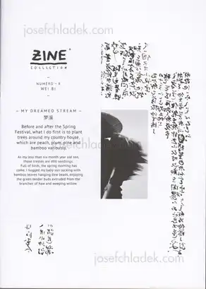Cover of Wei Bi - My Dreamed Stream