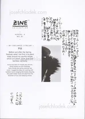 Cover of Wei Bi - My Dreamed Stream