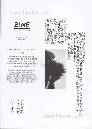 Cover of Wei Bi - My Dreamed Stream