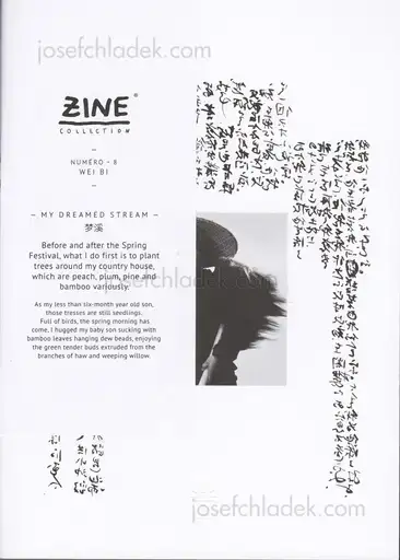 Cover of Wei Bi - My Dreamed Stream