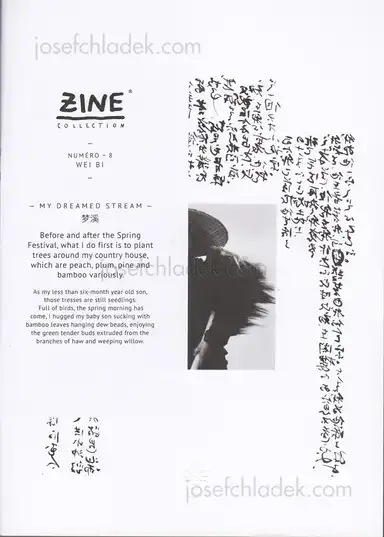 Wei Bi - My Dreamed Stream Wei Bi - My Dreamed Stream