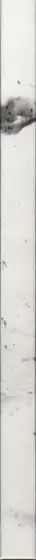 Book spine: Aleix Plademunt - Almost there