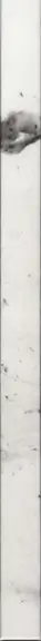 Book spine: Aleix Plademunt - Almost there