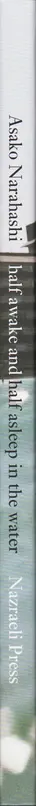 Asako Narahashi - Half Awake and Half Asleep in the Water
