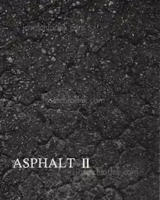 Asphalt II - Shin-ichiro Tojimbara, Atsushi Fujiwara, Chon Songte