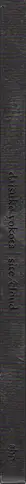 Book spine: Daisuke Yokota - site/cloud