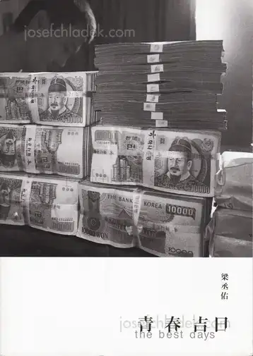 Cover of Yang Seung Woo - The Best Days