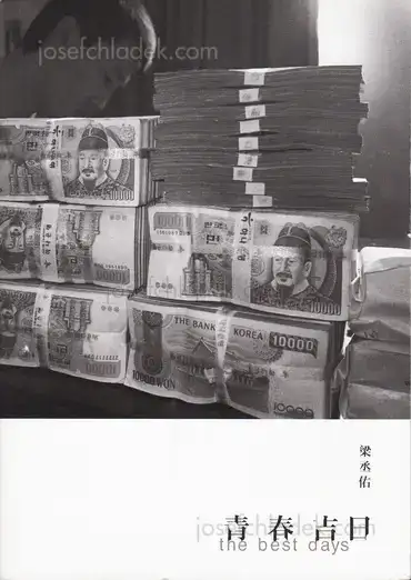 Cover of Yang Seung Woo - The Best Days