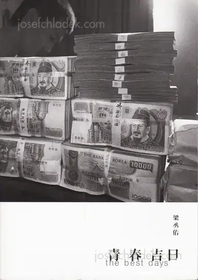 Cover of Yang Seung Woo - The Best Days