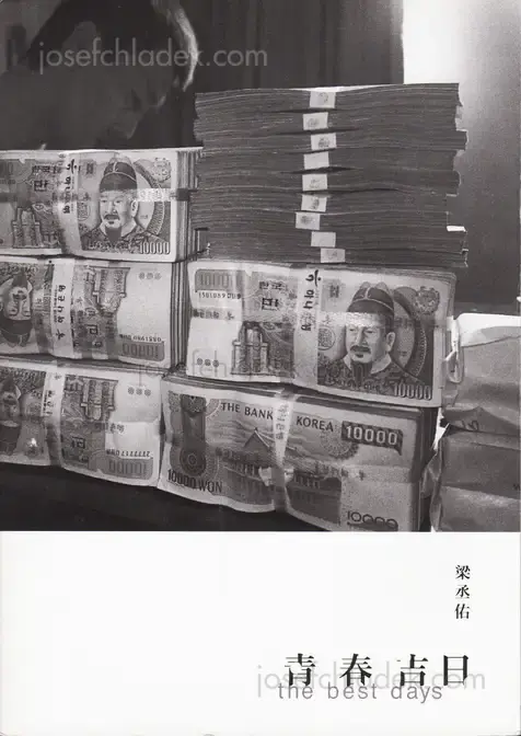 Cover of Yang Seung Woo - The Best Days