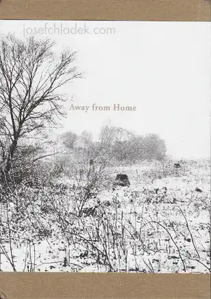 Cover of Kursat Bayhan - Away from Home