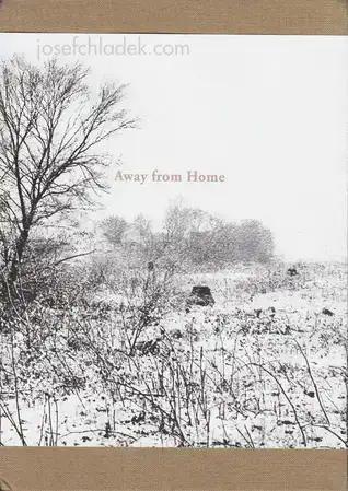 Cover of Kursat Bayhan - Away from Home